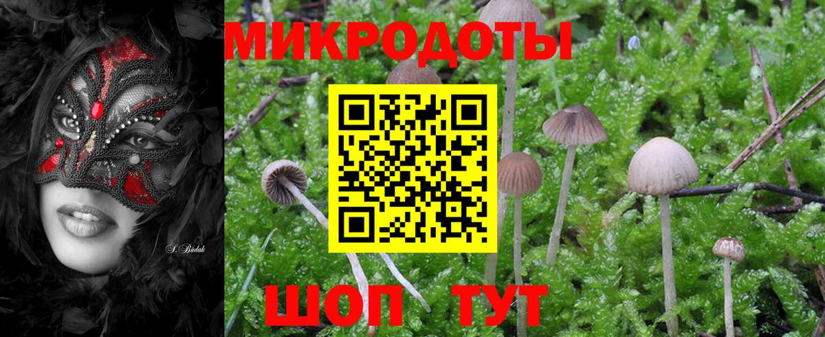 Галлюциногенные грибы мухоморы Советский